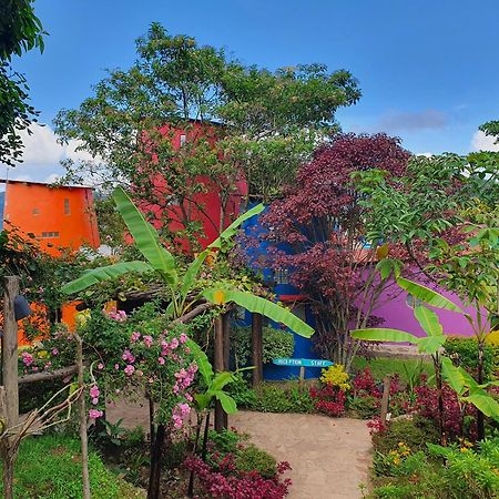 Chameleon Hill Forest Lodge Bwindi Impenetrable Park Zewnętrze zdjęcie