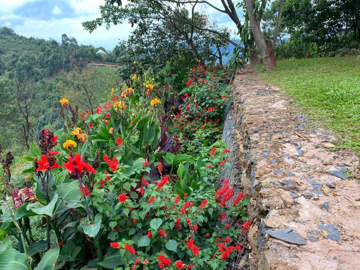 Chameleon Hill Forest Lodge Bwindi Impenetrable Park Zewnętrze zdjęcie