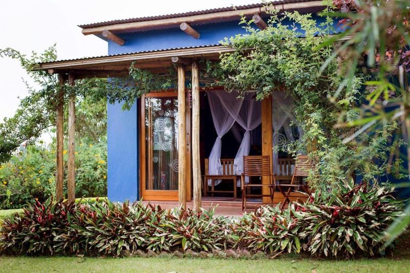 Chameleon Hill Forest Lodge Bwindi Impenetrable Park Zewnętrze zdjęcie