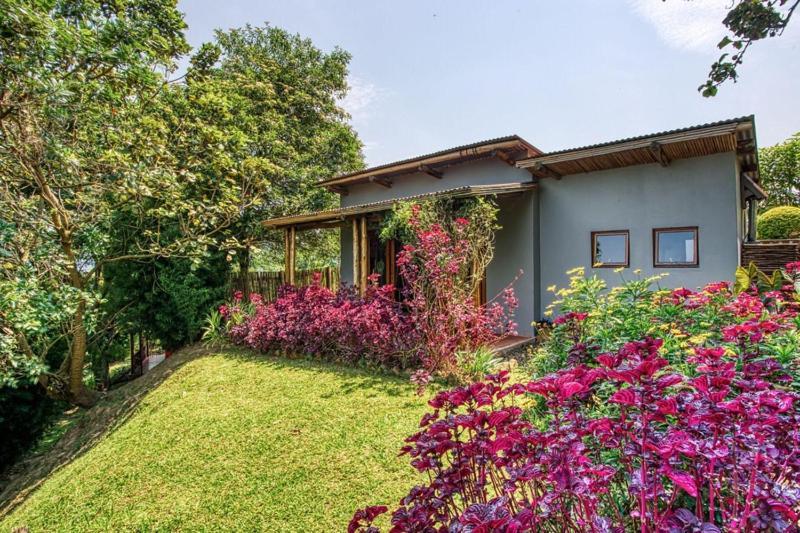 Chameleon Hill Forest Lodge Bwindi Impenetrable Park Zewnętrze zdjęcie