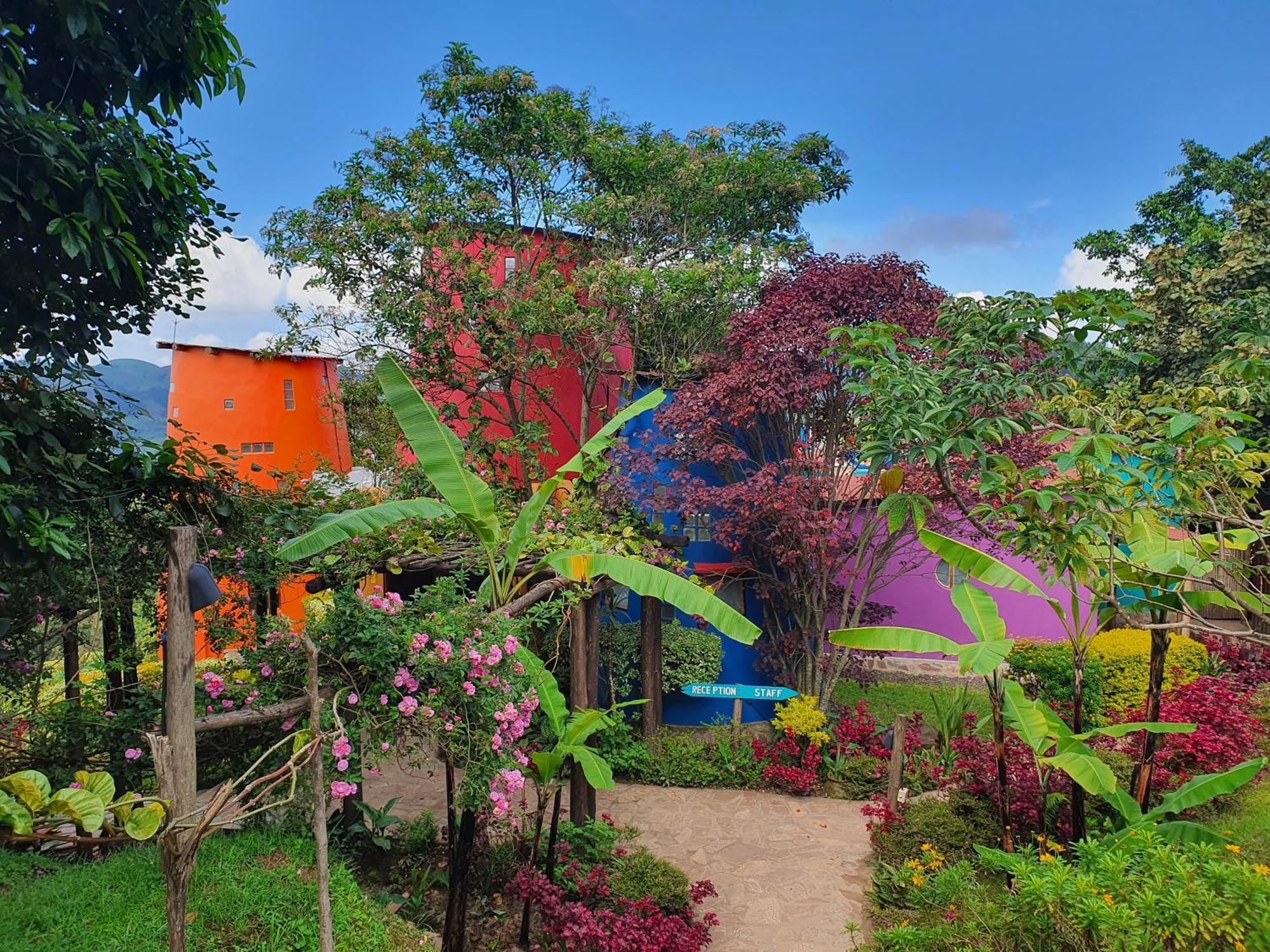 Chameleon Hill Forest Lodge Bwindi Impenetrable Park Zewnętrze zdjęcie